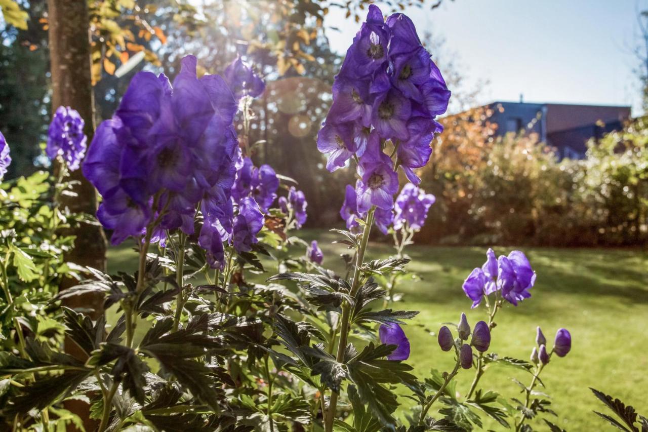 Bed and Breakfast Alte Molkerei Lindern Экстерьер фото